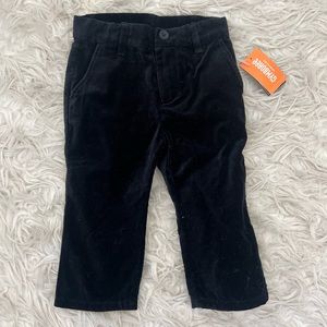 Young toddler boy pants